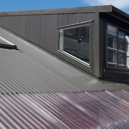 City Apartment Renovation, Wellington